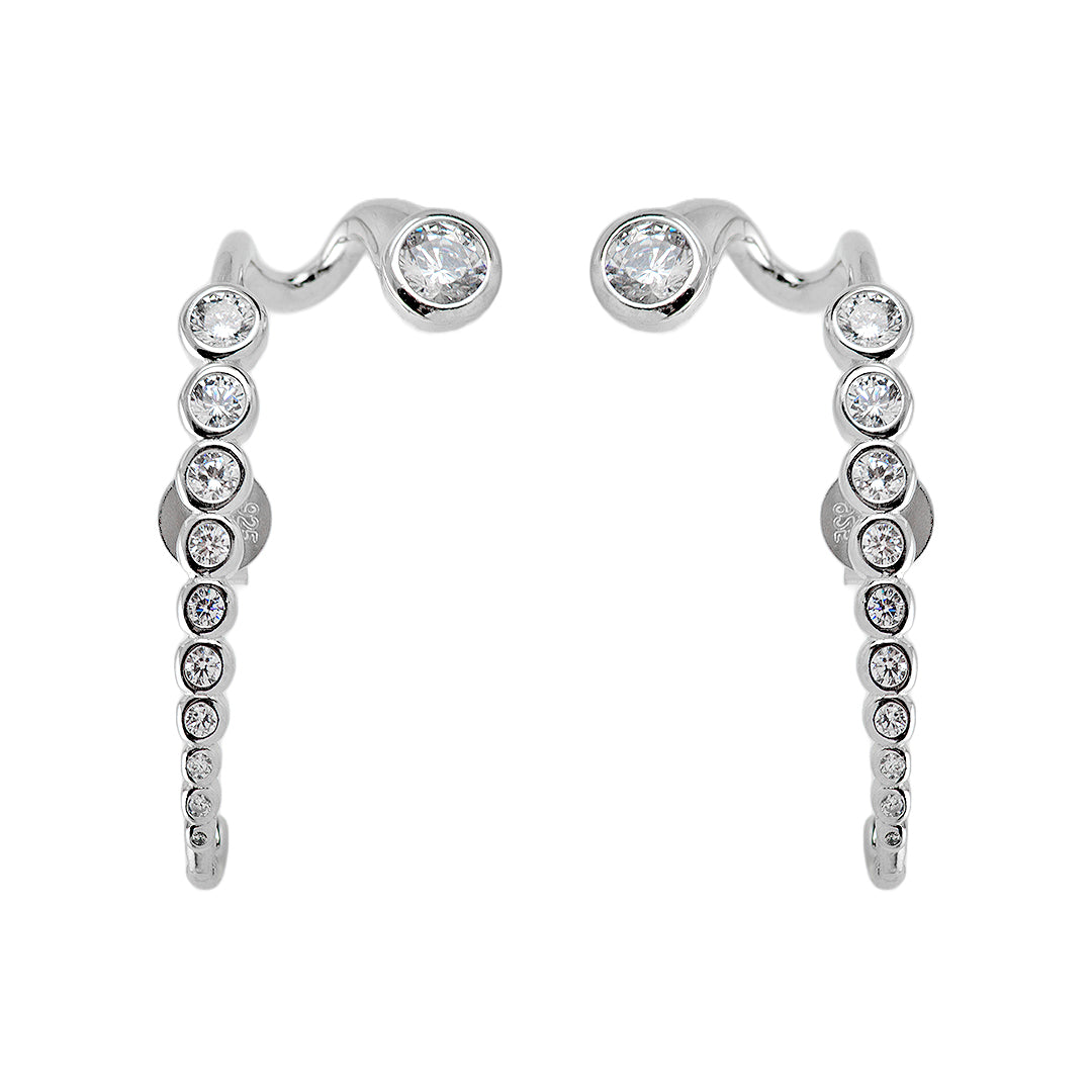 Silver Earrings with Crystals