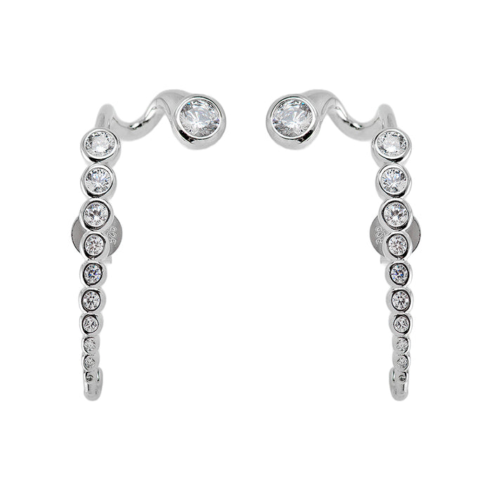 Silver Earrings with Crystals